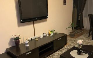 Apartament 2 camere balcon Doamna Stanca Dedeman - Poză 3