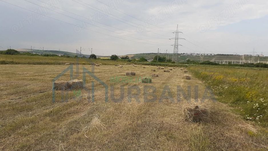 Teren intravilan de 9.000 mp în Miroslava, cu utilități la limită de parcelă - Poză 1