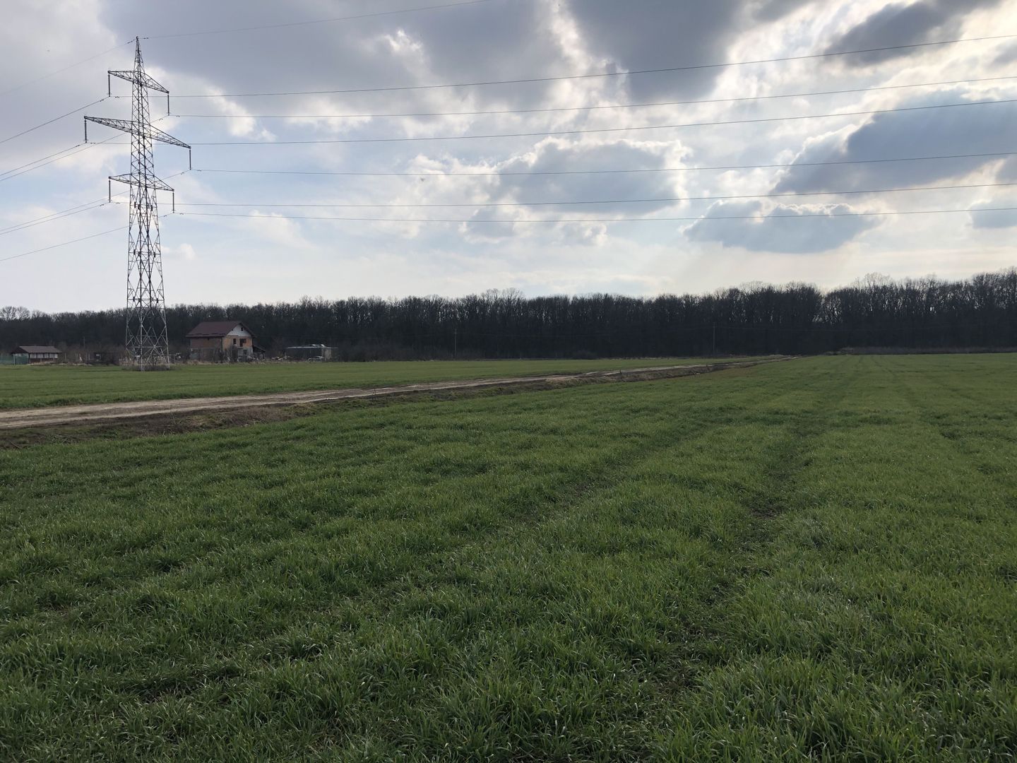 TEREN DUMBRAVITA -ZONA LAC - Poză 1