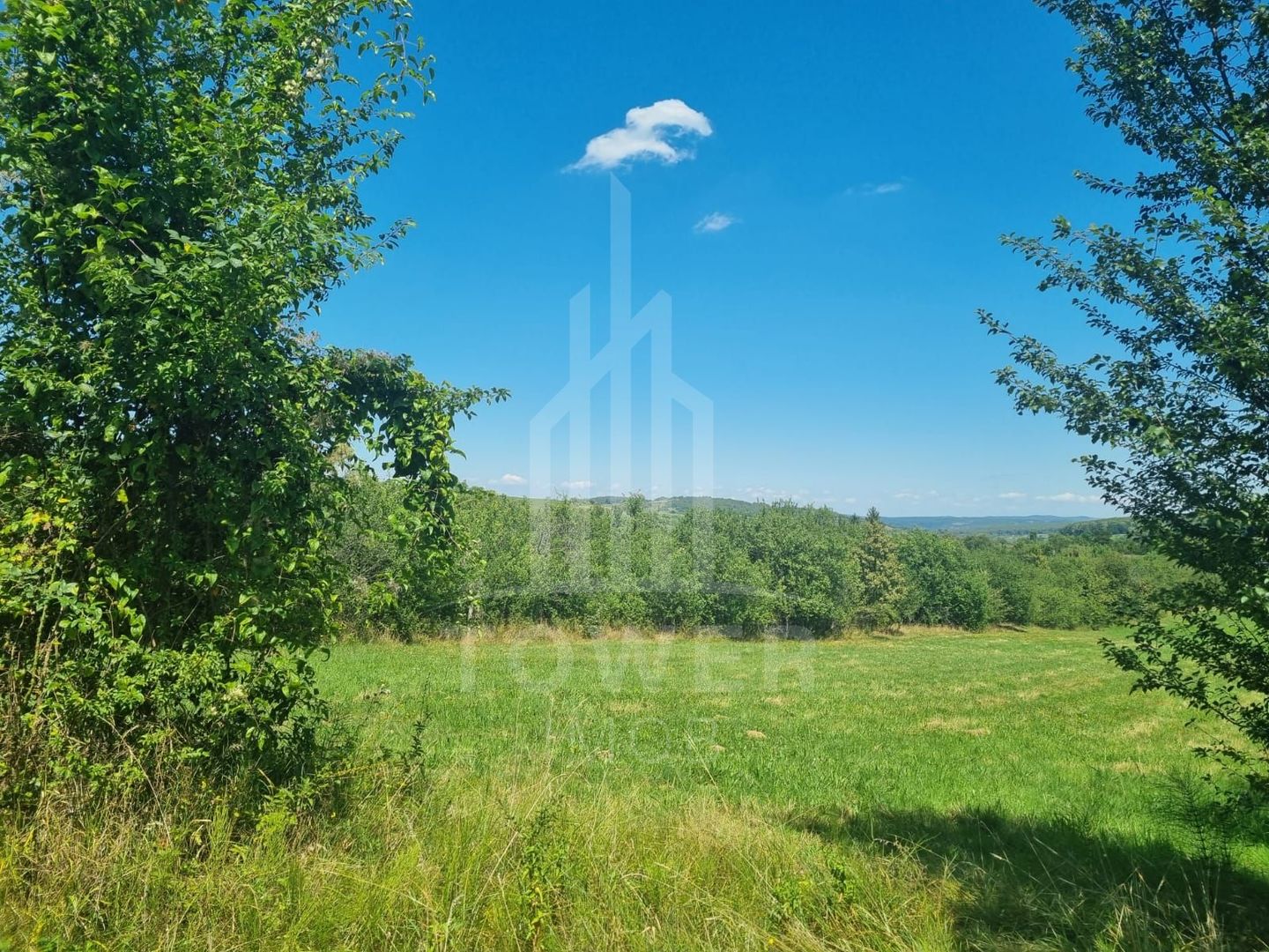 EXCLUSIVITATE! Teren la șoseaua principală | Tocile - Poză 2