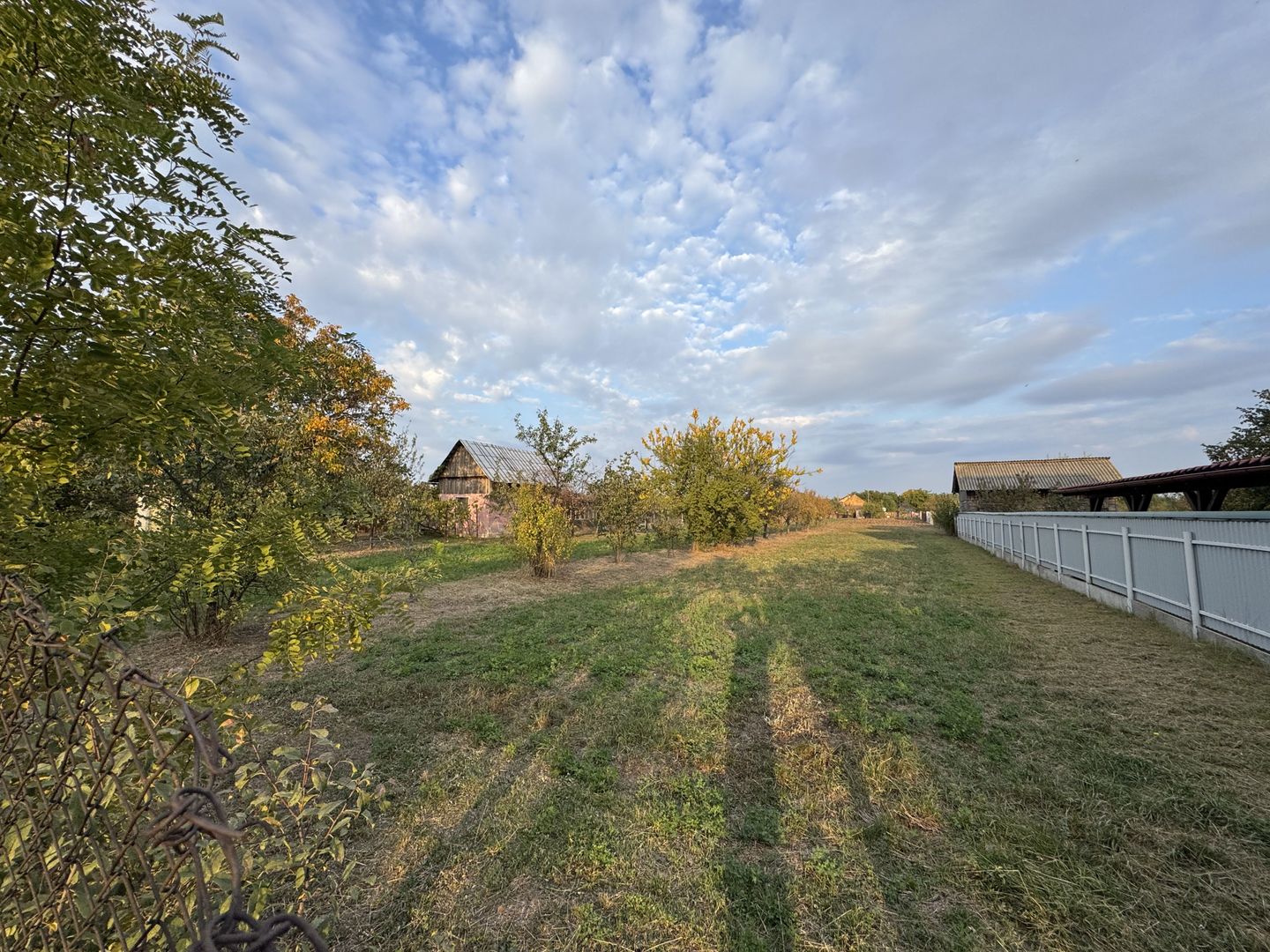 Teren Intravilan Becicherecu Mic In Vatra Satului,1104 mp,Fs. 14m - Poză 4