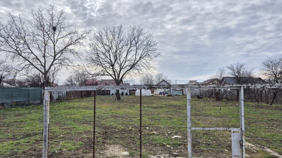 Teren intravilan 1343 mp - Afumati - Poză 2