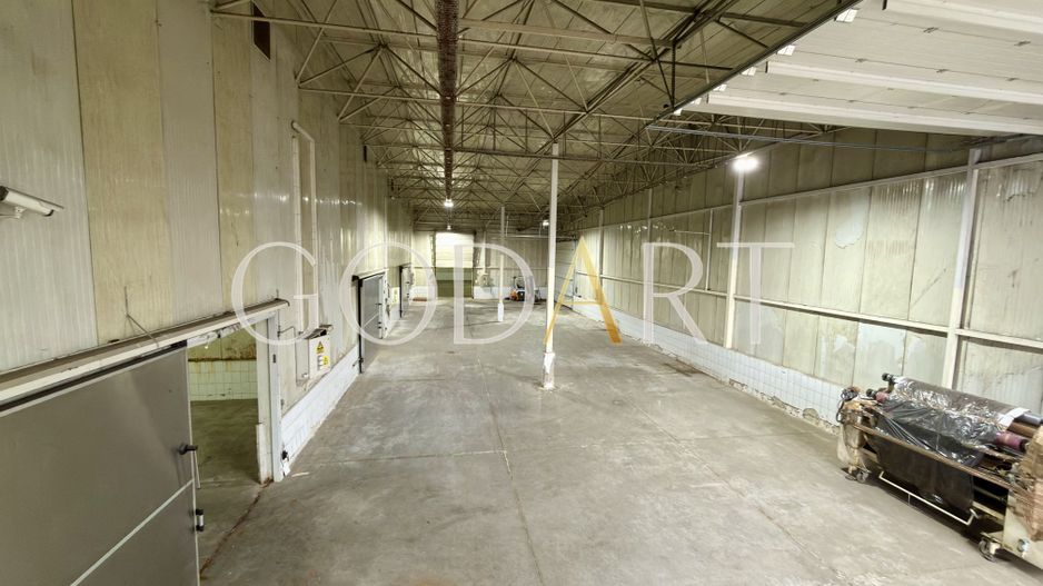 Hală industrială de închiriat | Acces TIR - Poză 15