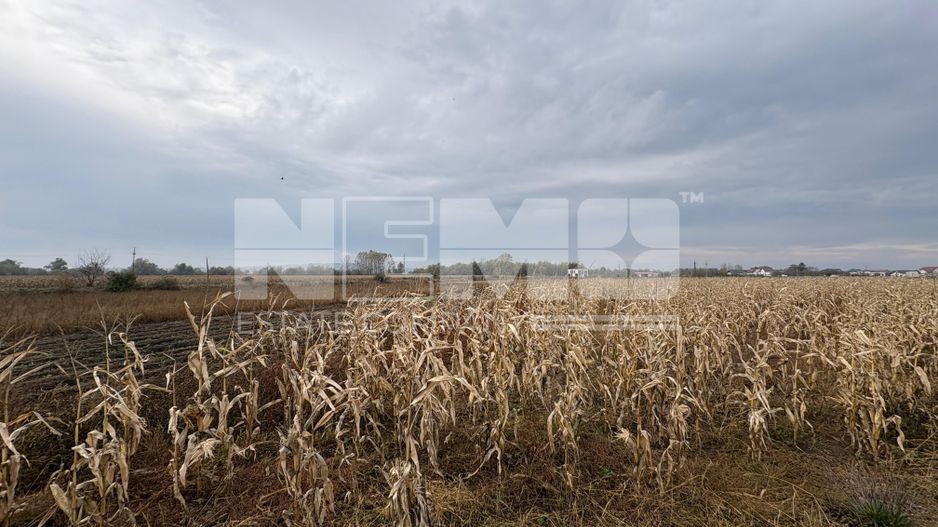 Teren de vânzare | 52 ari | intravilan | Zonă liniștită | Rădăuți - Poză 4