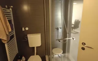 CASA SPATIOASA CU 4 CAMERE CARTIER GRADISTE - Poză 20