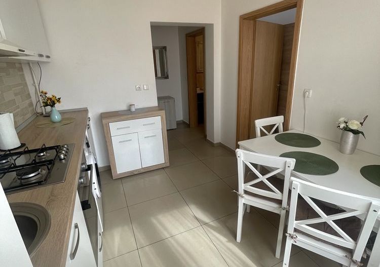 Giroc | 1 Camera | Mobilat si Utilat | Etaj 1 |  Loc de parcare - Poză 4