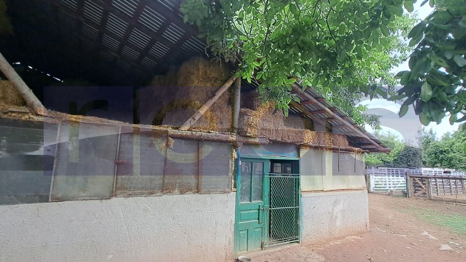 VANZARE CASA | TEREN 2.500 MP | LIVADA SI GRADINA | COMUNA BEUCA, TELEORMAN - Poză 4