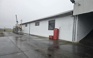 Proprietate industrială  Platformă logistică de vânzare în Tinca - Poză 9