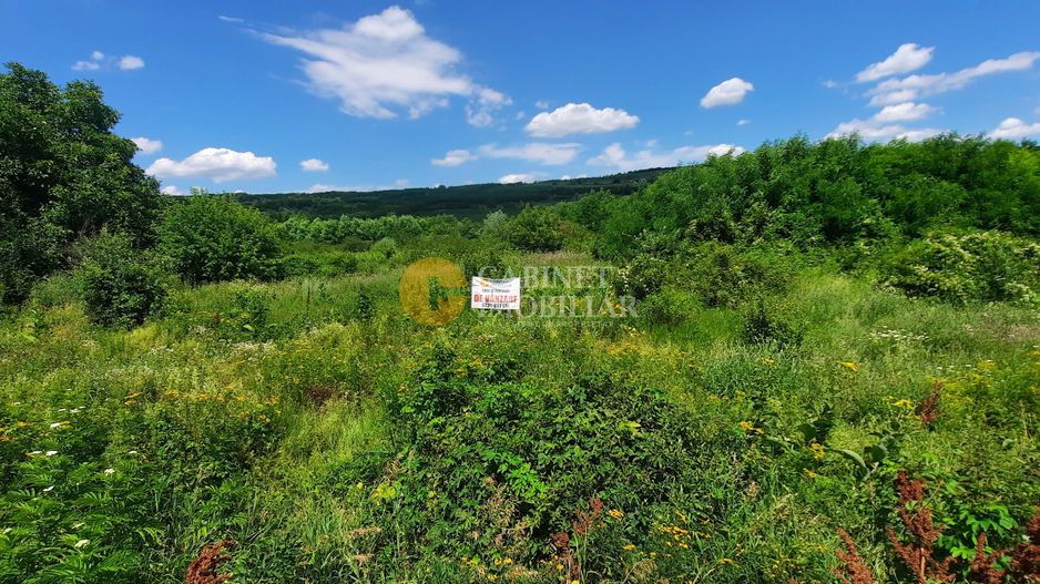 🌳 🌞🌿 TEREN INTRAVILAN OSOI 2800 mp - 49.999 Euro ! 🌳🌞🌿 - Poză 9