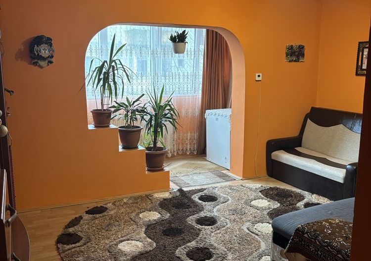 Apartament 1 Camera Calea Buziasului - Poză 2
