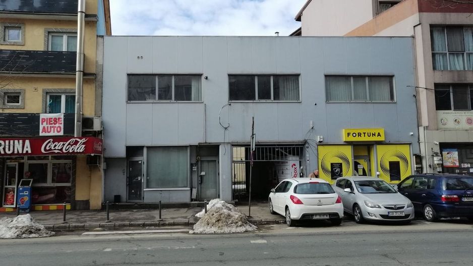 Teiul Doamnei numarul 89, Bucuresti, Sector 2 - Poză 1