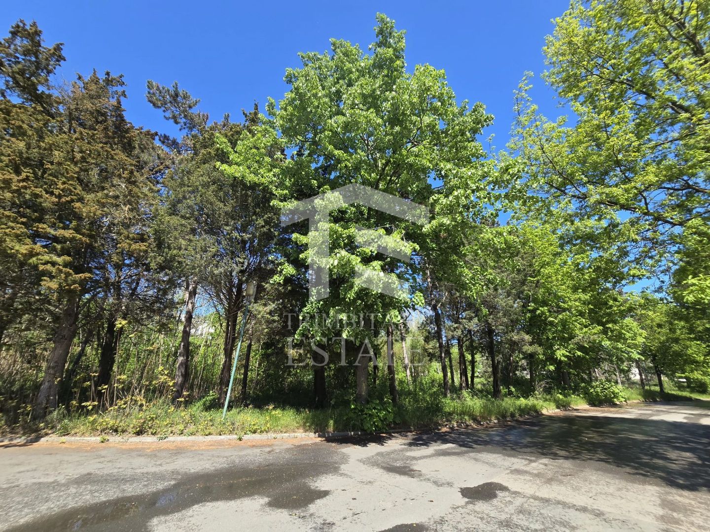 🏖 Teren de vanzare in Neptun – O oportunitate rara de investitie. - Poză 18