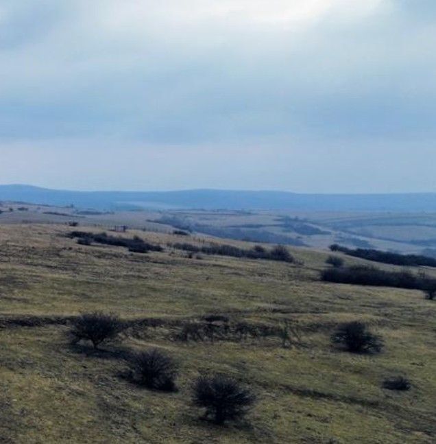 Teren extravilan Dealul Daii Sibiu - 67500 mp - Poză 2