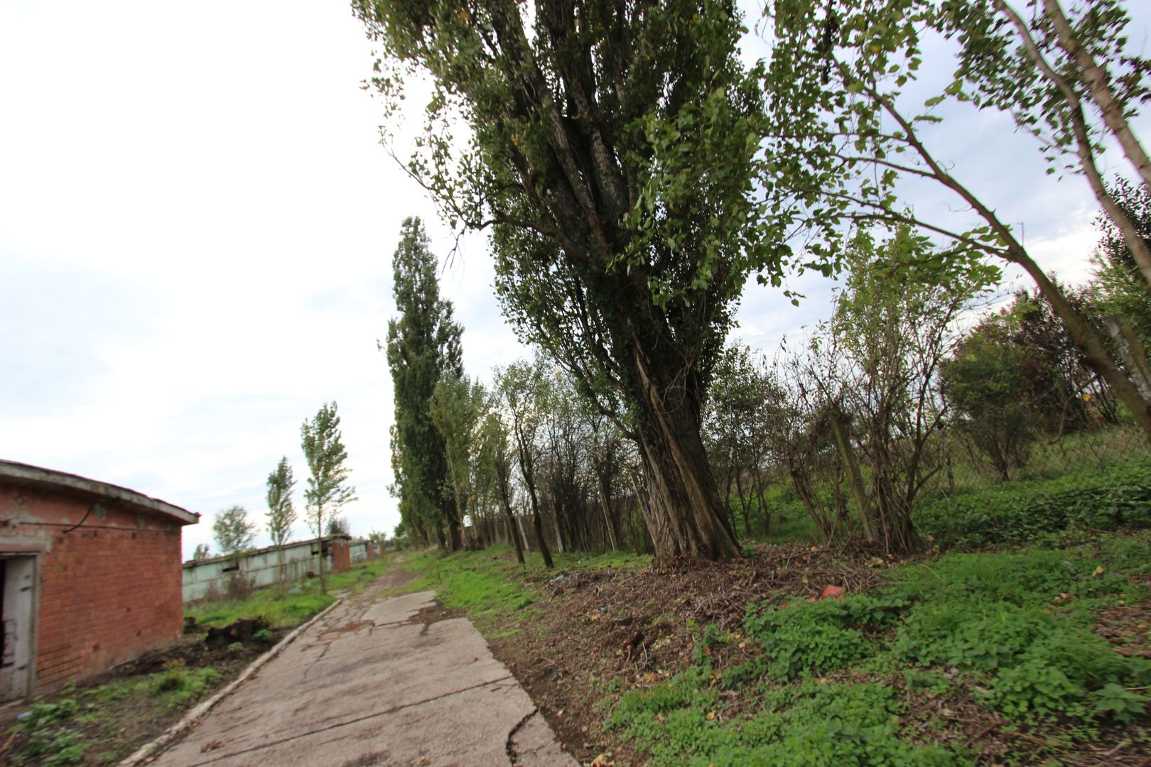 Vanzare hale Mosnita Noua-fosta Ferma 7 - Poză 30