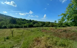 Teren în Fântânele – 3.673 mp, pârâu si cadru natural  deosebit - Poză 15