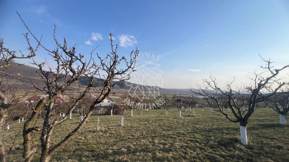 Teren 3100 mp-livada-ideal casa-Mititei - Poză 2