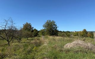 Teren intravilan 965 mp-imprejmuit-ideal casa-Livezile - Poză 3