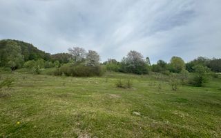 TEREN EXTRAVILAN 40000 MP, ALBESTI DE MUSCEL, CANDESTI - Poză 8