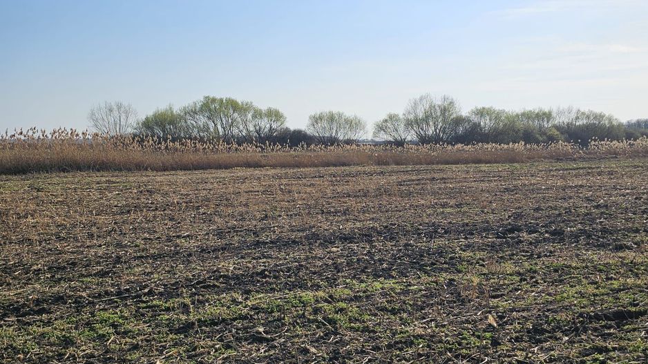 Teren extravilan pentru balastiera Biharia - Poză 3