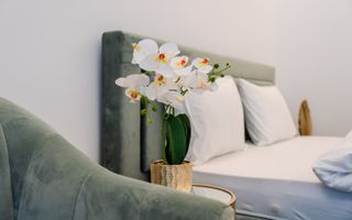 OCAZIE STUDIO CORTINA NORTH  I Mobilat I faza 1 I COM 0% - Poză 35