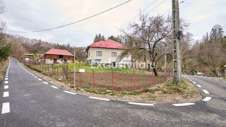 Casa  la munte cu teren generos in Com. Nucsoara, loc. Slatina jud. Arges! - Poză 12