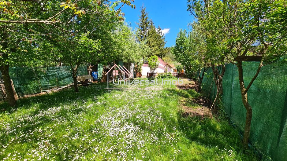 Casa cu 1 camera in Vlaha - Poză 2
