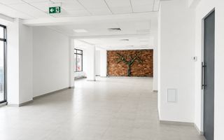 Clădire de birouri premium de închiriat | 660 mp | P+2+M | Comision 0% - Poză 5