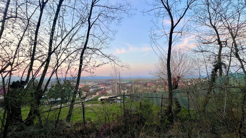 Teren Intravilan 495 mp – Zonă Liniștită - Strada Livezii - Poză 8