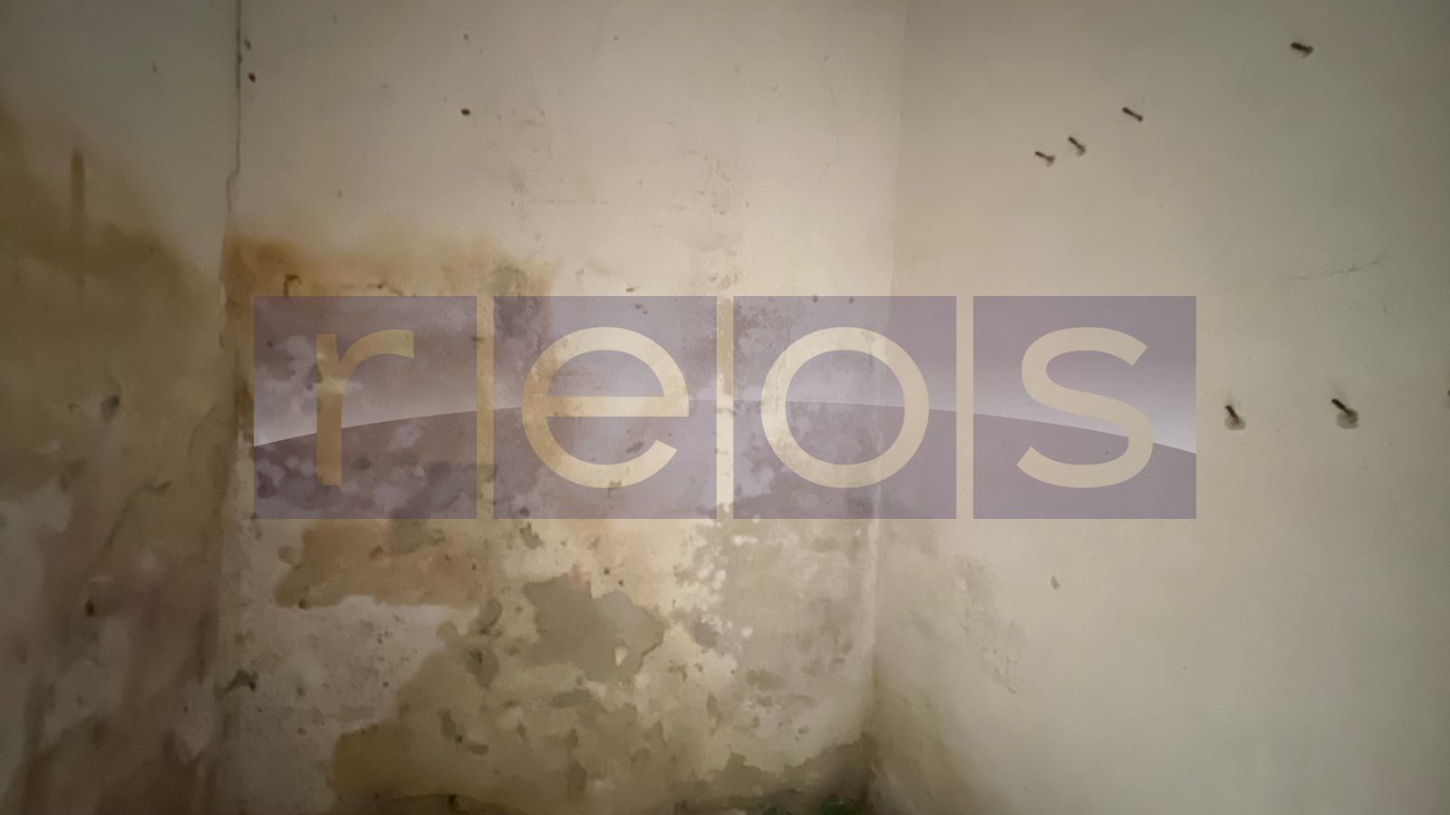 DE VANZARE CASA 4 CAMERE PIVNITA SI POD | 122MP | COTROCENI - Poză 21