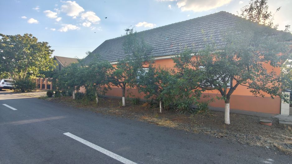 Casa Parter Becicherecu Mic 5 Camere,Vatra Veche,Teren Generos 1600mp,F.s 36 mp - Poză 1