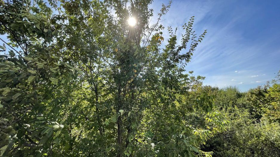 Apartament de lux 3 camere | COMPLEX SUNRISE - Poză 11