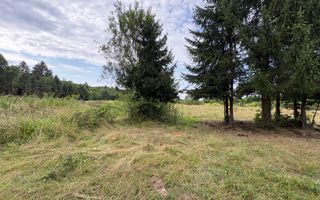 Teren intravilan de vanzare I 1990 mp I Valea Avrigului – lângă Cabana Aris - Poză 10