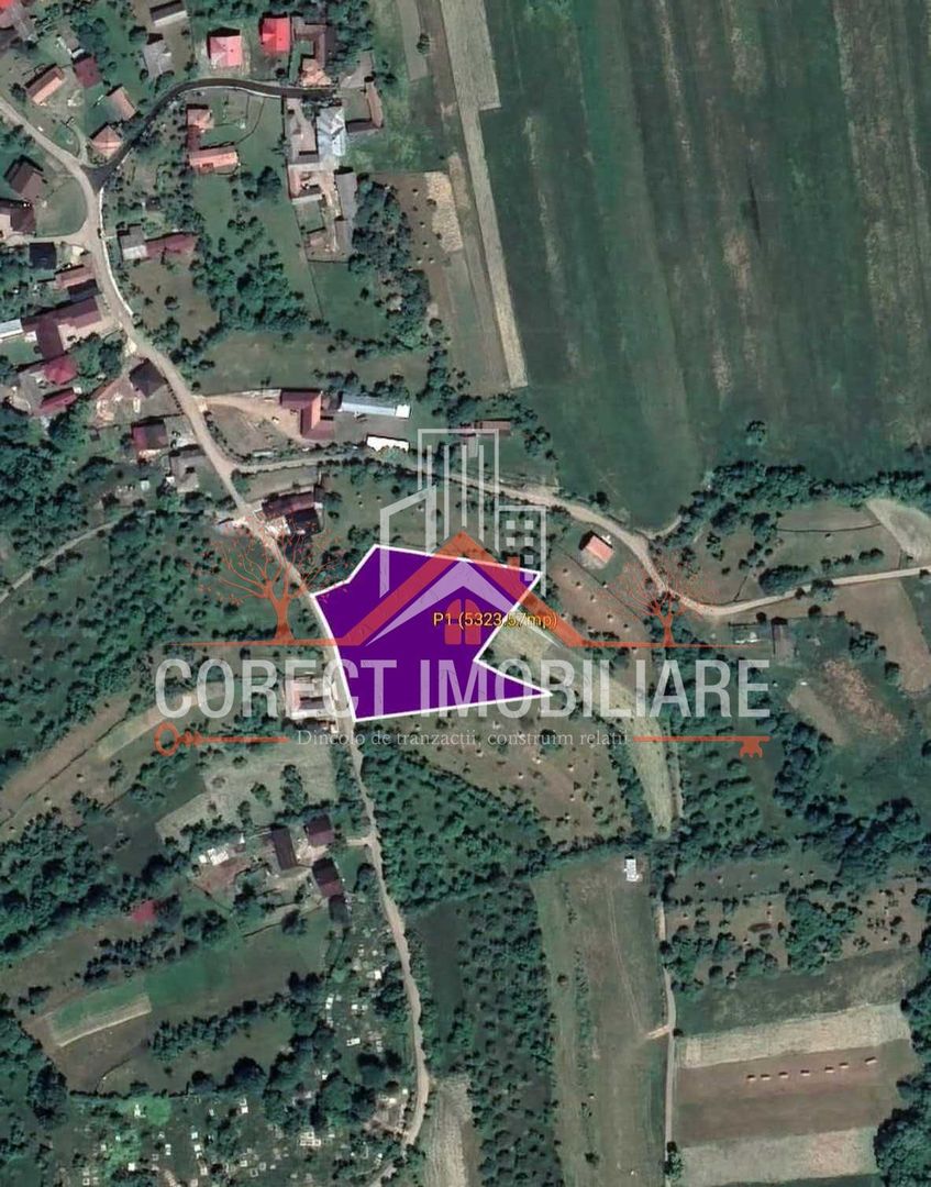🌿 Teren de vânzare – Josenii Bargului - intravilan - Poză 1