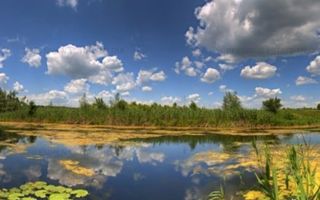 Teren cu iesire la Lacul Snagov, ponton privat cu foisor, piscina si sauna - Poză 1