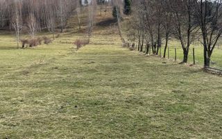 TEREN INTRAVILAN 2500 MP, LERESTI, ARGES - Poză 2