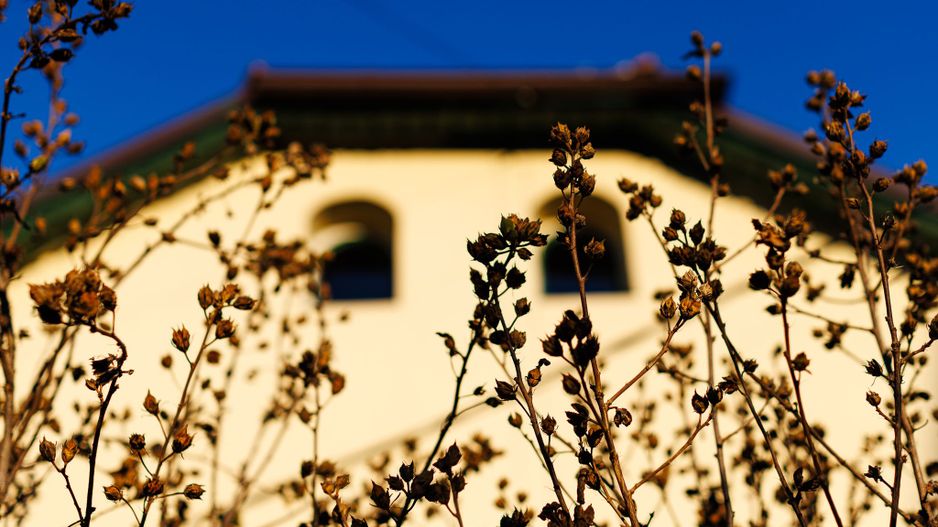 Casă Individuală pentru Birouri - Central, Timișoara | Curte 726 mp - Poză 5