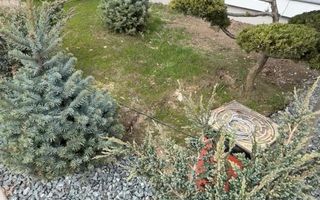 Apartament Clasa A cu Gradina, In Mijlocul Naturii: - Poză 12