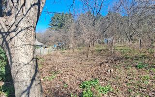 Casa batraneasca Bucium - 27000 - Poză 5