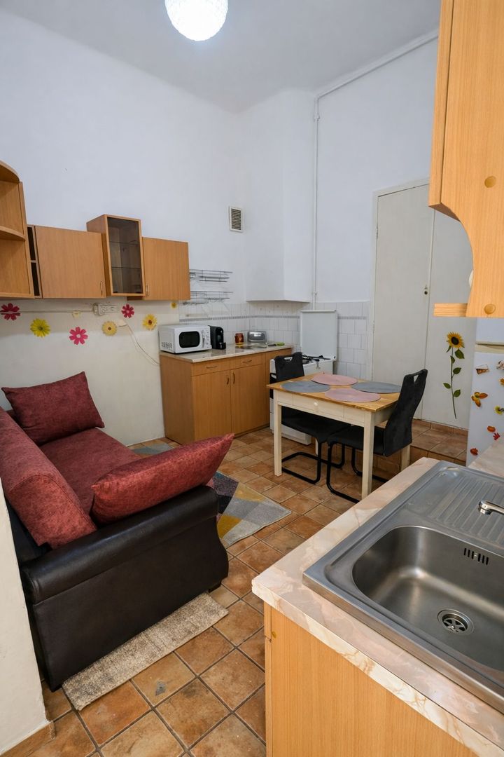 Apartament 1 Camera De Inchiriat | Ultracentral | Piata Unirii | UMF - Poză 4