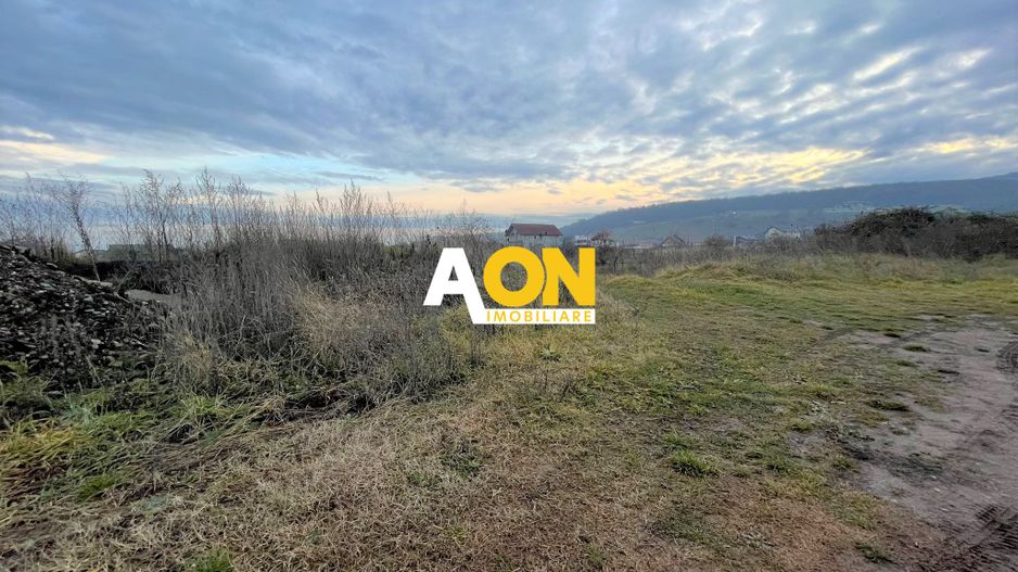 Teren de Vanzare 540MP Micesti - Poză 2