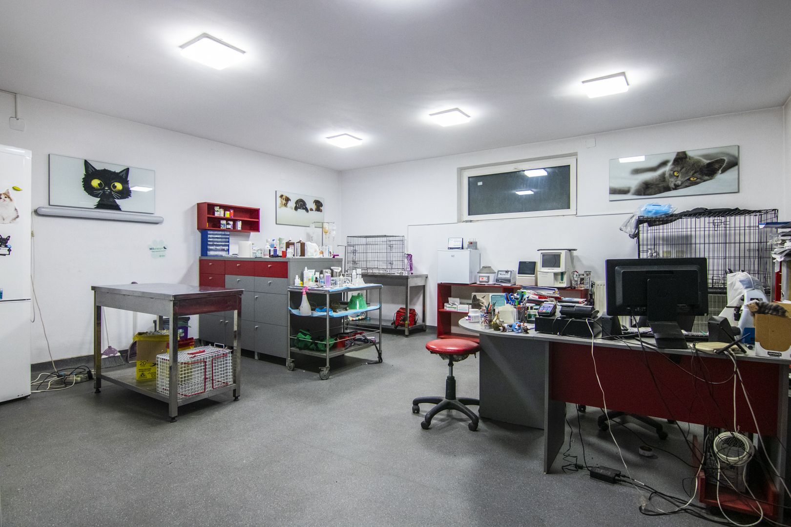 Brancoveanu, spatiu pretabil investie, sediu, birou, cabinet, showroom - Poză 2