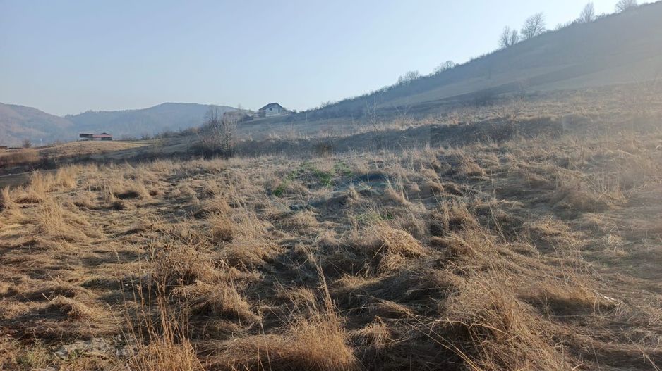 Teren extravilan 3000 mp de vănzare - Poză 5