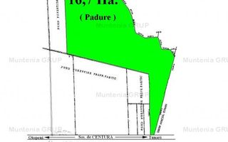 TUNARI - Centura Bucuresti, 16,7 Ha. teren (padure de peste 100 ani) - Poză 6