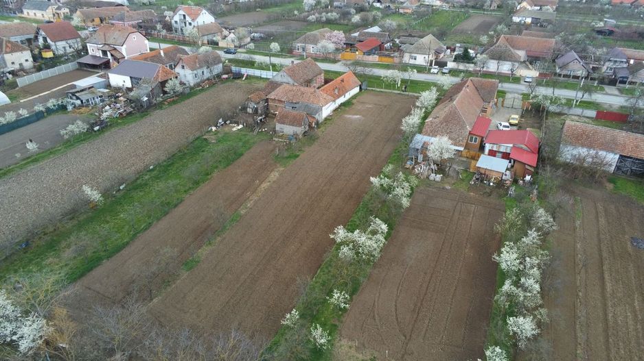 Teren intravilan în Fibiș - Poză 5