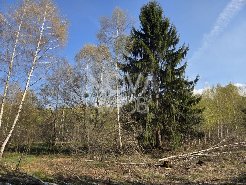 Teren intravilan de vanzare - Vistisoara - Poză 8