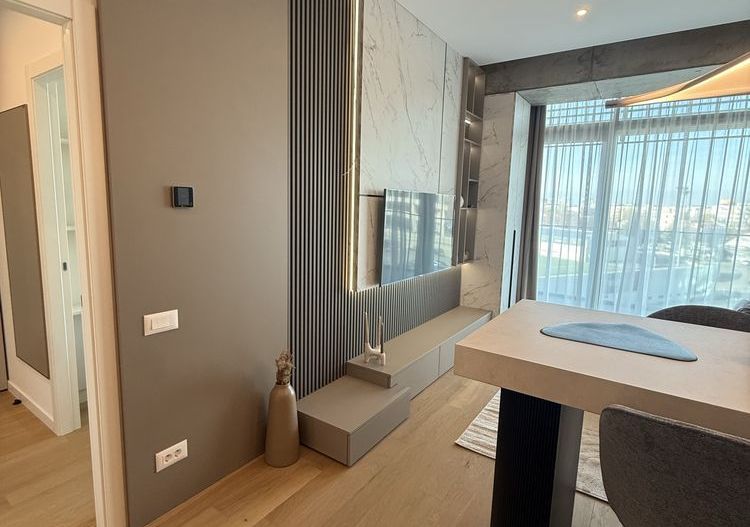 Apartament 2 camere - Calea Floreasca/Lacul Floreasca - Poză 4