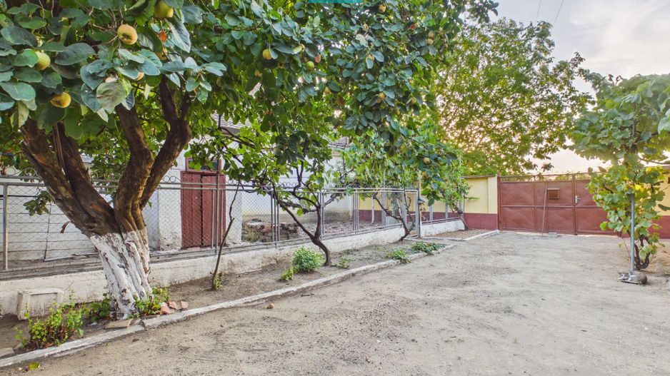 Casă bătrânească cu 4 camere in Pecica - Poză 4