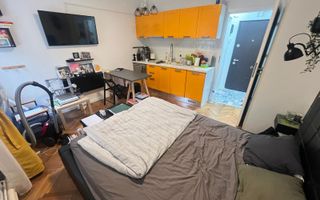 1 cam renovata integral Balcescu - Poză 13