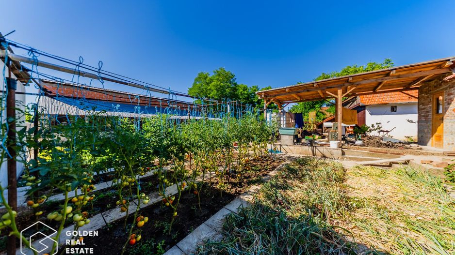 Casa situata in Pecica, 1602 mp - Poză 21