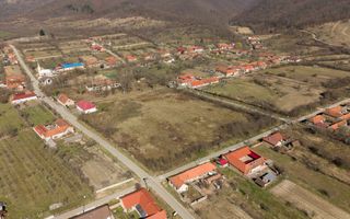 Conac nobiliar de secol XIX cu 8 camere în Maciova - Poză 9